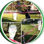 Cible d'entraînement ajustable portative en acier Spectrum
