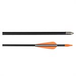 72 fiber glass arrows 28"
