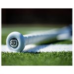 Bâton de baseball Easton Speed sénior