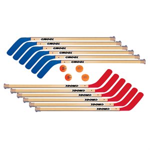 12 bâtons de hockey 42", 2 balles, 2 rondelles